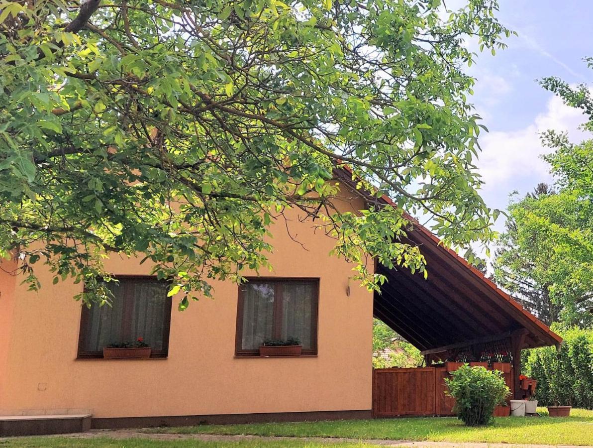 Szemérmetes Erzsók Nyaralóház Villa Gyomaendrőd Esterno foto