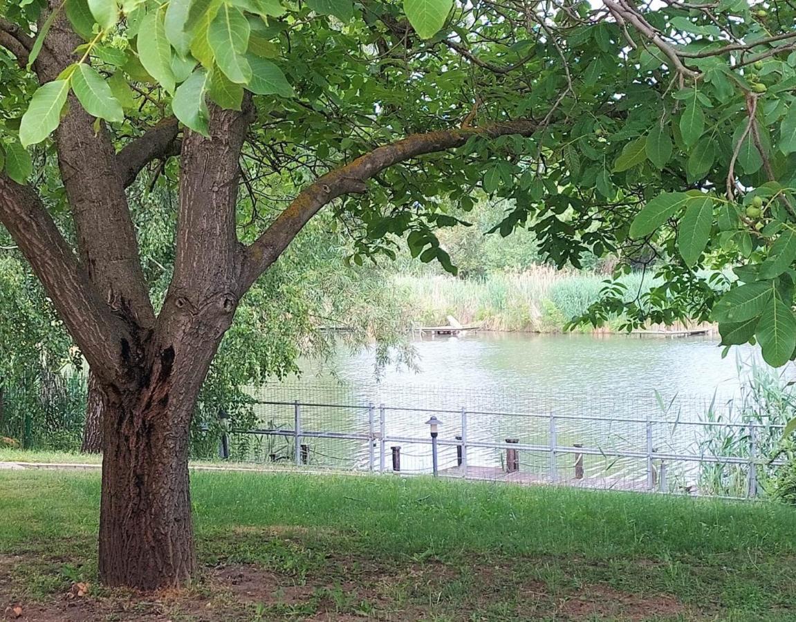 Szemérmetes Erzsók Nyaralóház Villa Gyomaendrőd Esterno foto